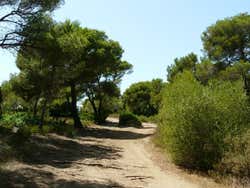 Sentier de Cala Macarella